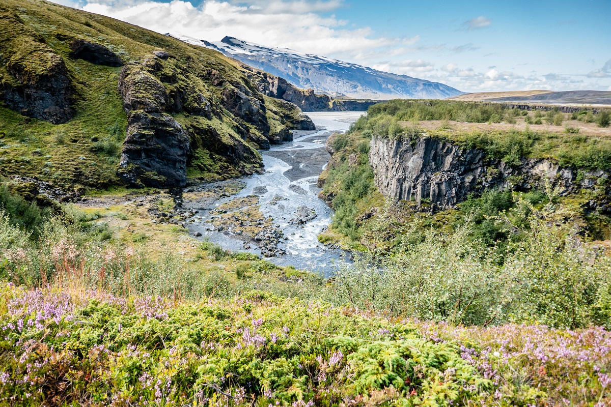 Rivier met mos en struiken in Thorsmörk | IJsland Tours