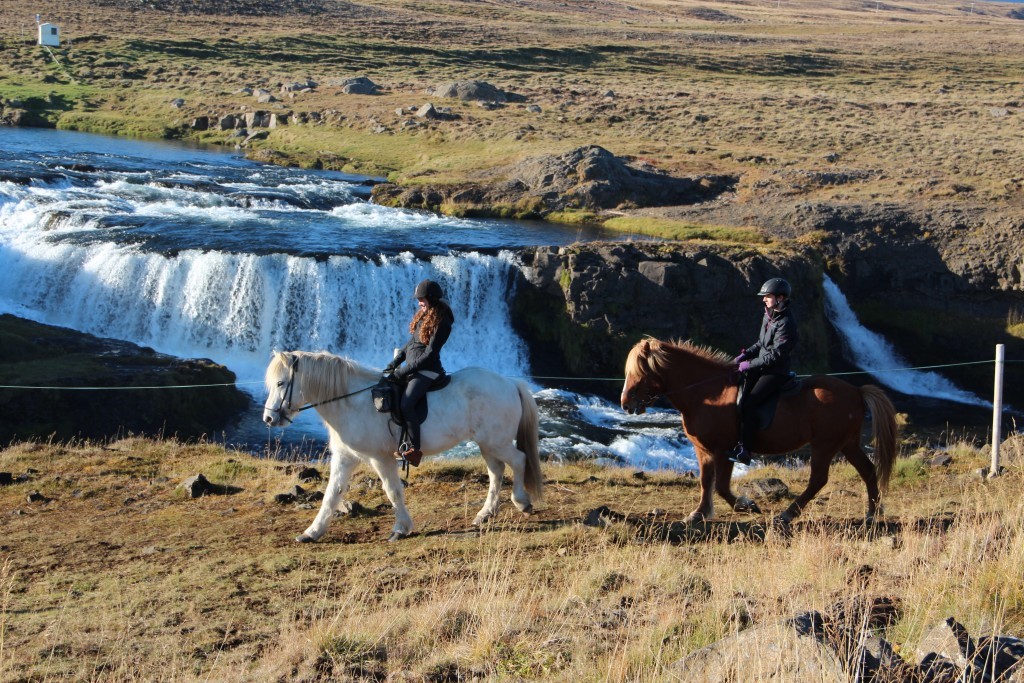 Te paard langs de waterval Reykjafoss | Hestasport | IJsland Tours