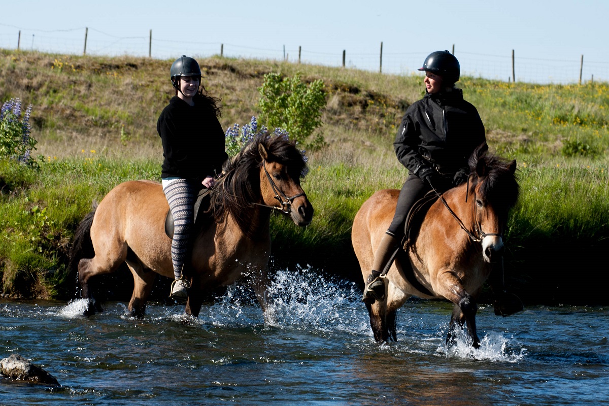 Reizigers rijden door een rivier tijdens een paardrijtour in zuid IJsland | Eldhestar | IJsland Tours