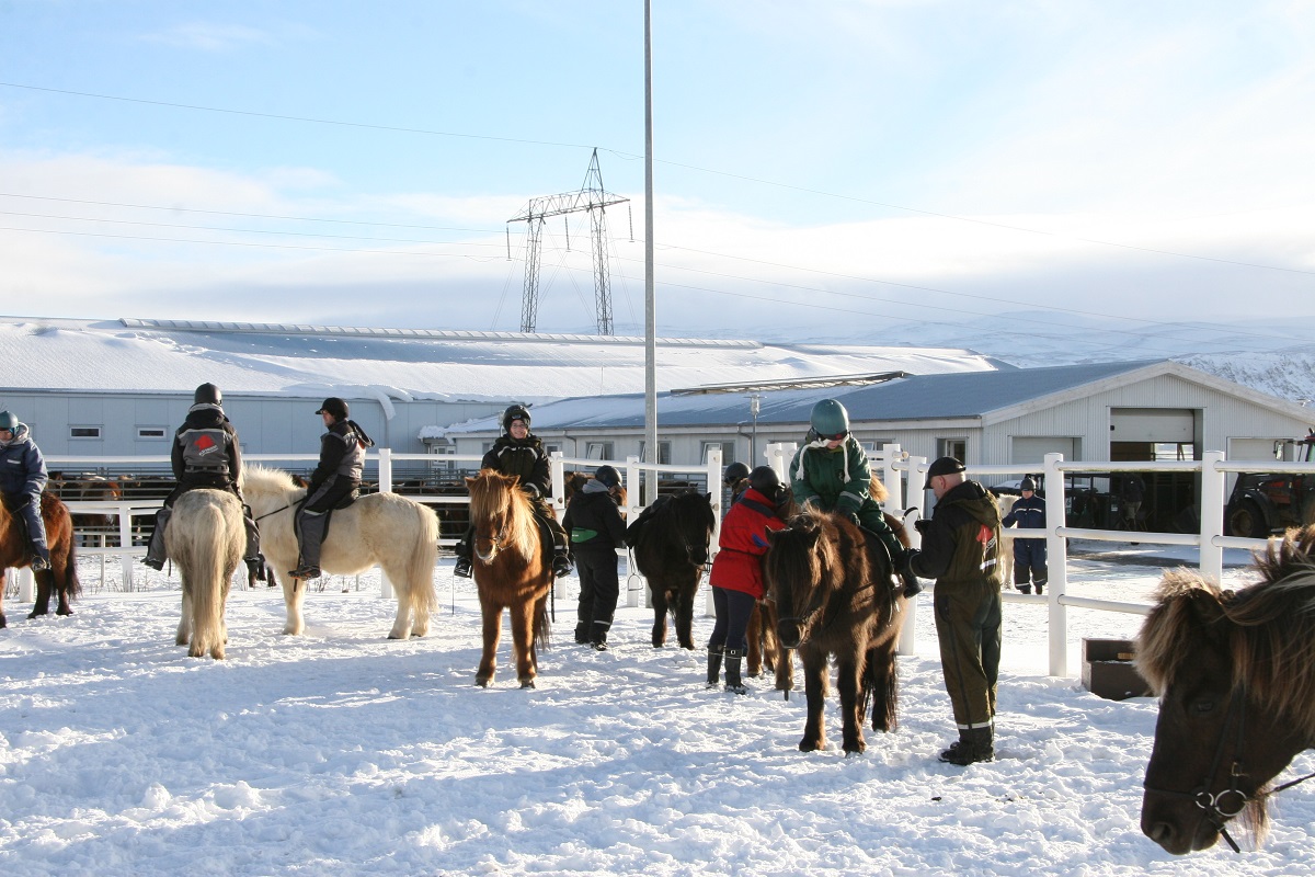 Reizigers tijdens een paardrijtour in zuid IJsland | Eldhestar | IJsland Tours
