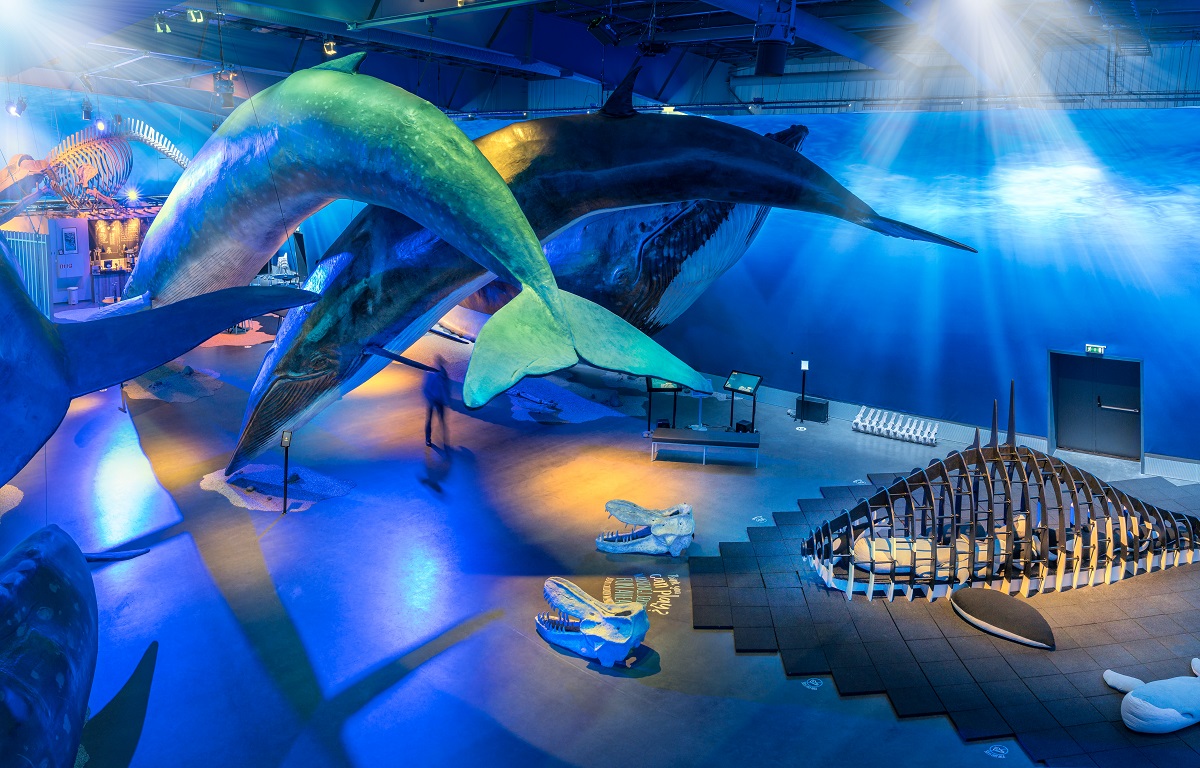 Walvisen en speelmogelijkheden in het Whales of Iceland museum | Whales of Iceland | IJsland Tours
